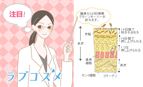 20代後半からのターンオーバーの乱れには角質ケアのできるボディソープ